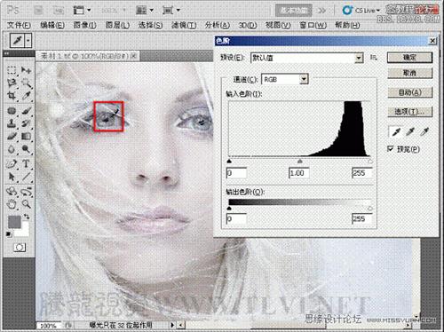 Photoshop基础教程：通过实例解析色阶与黑白场,PS教程,思缘教程网