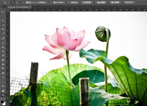 古典画，通过PS和LR把普通数码荷花照片制作成具有中国风的古典照片_