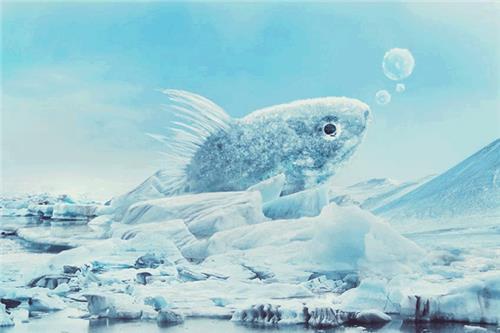冰雪效果，在PS中合成一个超现实感觉的冰块鱼_