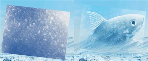 冰雪效果，在PS中合成一个超现实感觉的冰块鱼_