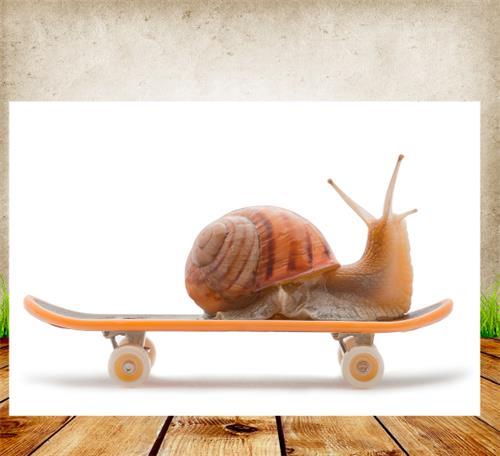 抠动物，用图层蒙版抠出在滑板上的蜗牛_