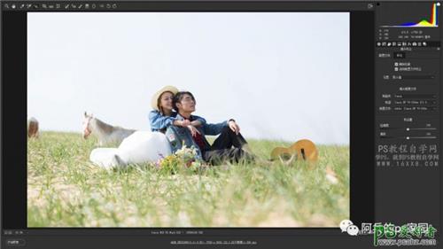 PS影楼调色教程：给草原上拍摄的情侣写真照后期调出小清新色调。