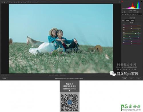 PS影楼调色教程：给草原上拍摄的情侣写真照后期调出小清新色调。