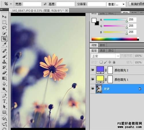 photoshop快速调出中性蓝色调花朵图片
